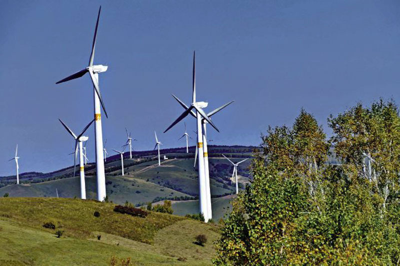 Des éoliennes dans la ferme forestière de Saihanba (province du Hebei), plus grand centre de reboisement au monde.  