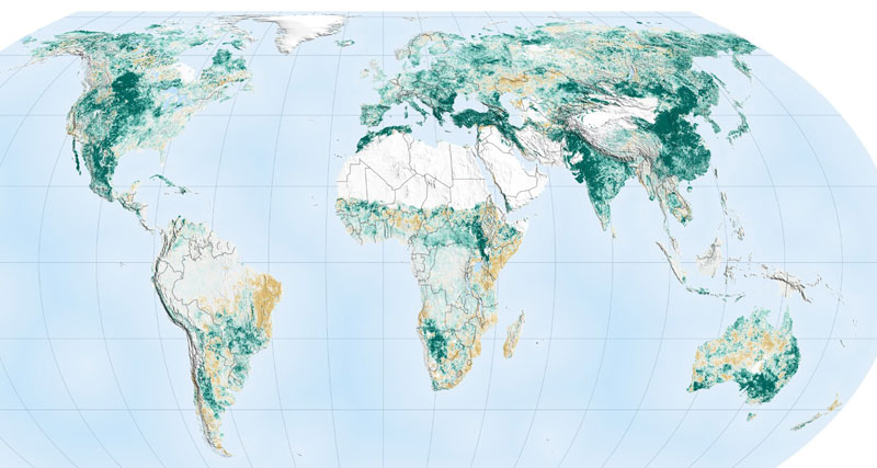 Le verdissement observé de 2000 à 2017 en Asie. Photo : NASA