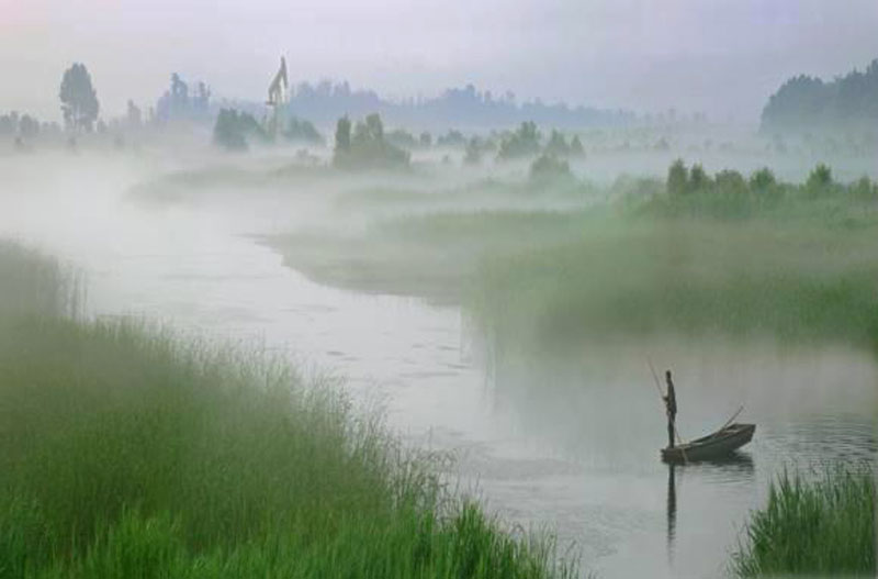 Delta du fleuve Jaune : un ancien cours d'eau retrouve sa vivacité grâce à un projet d'adduction d'eau 
