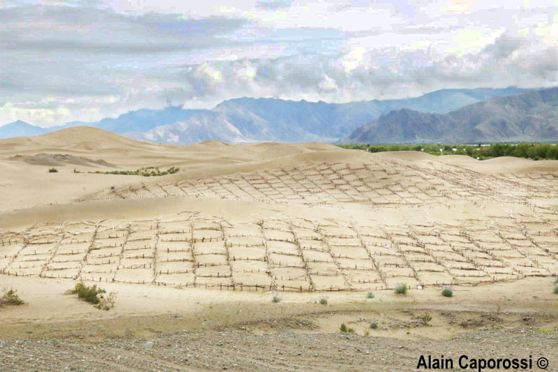 fixation des dunes de sable dans la région de Zedang en 2016