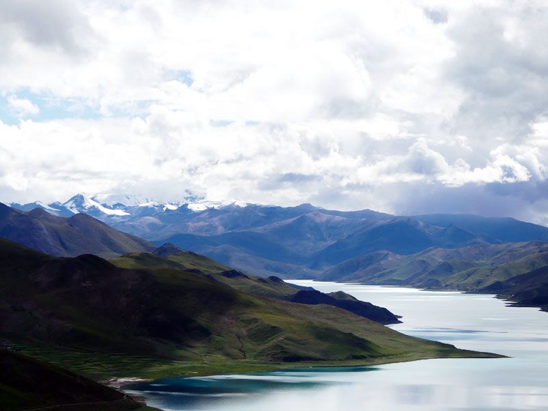 Végétation au lac YamdrokTso, à environ 5000 mètres d'altitude