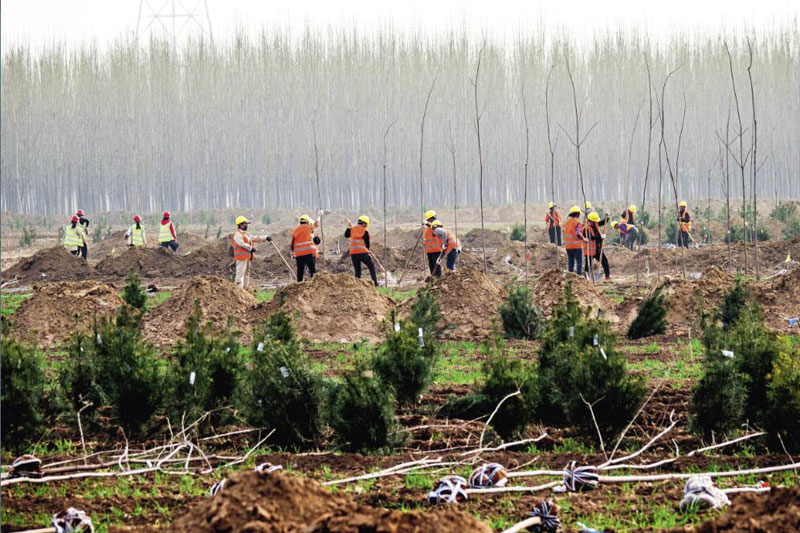 Le 1er avril 2018, les activités de reboisement printanier du projet « Belle forêt du millénaire » dans le district de Xiongxian (Hebei) battent leur plein.