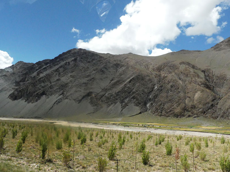 Plantation d'arbres près de la ville de Sakya (septembre 2019)