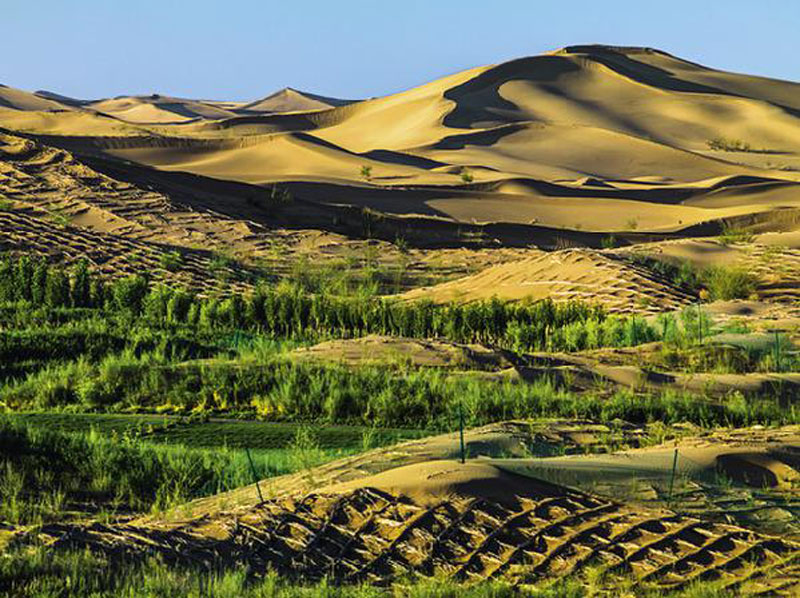Le désert de Kubuqi reboisé