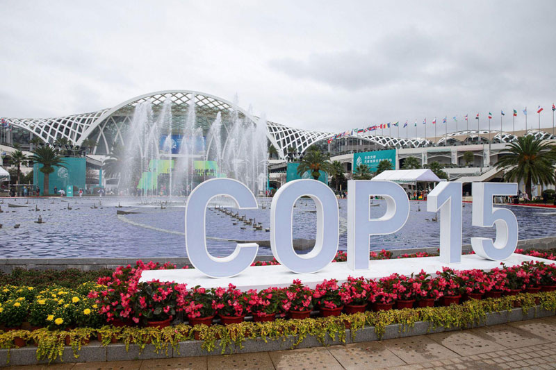 Ouverture de la COP15 sur la biodiversité à Kunming
