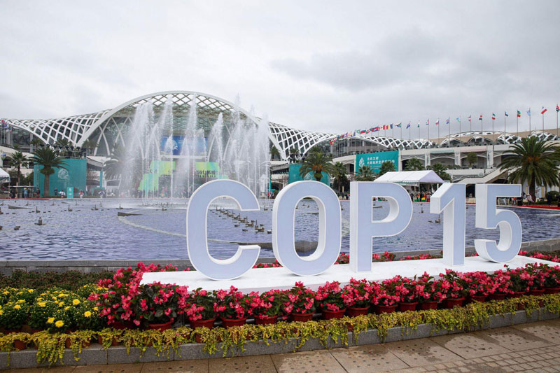 Ouverture de la COP15 sur la biodiversité à Kunming Ouverture de la COP15 sur la biodiversité à Kunming