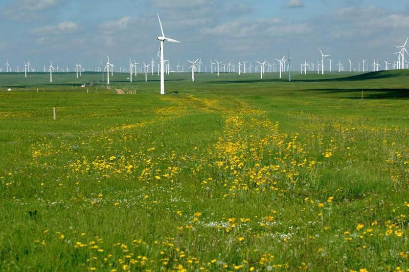 Éoliennes au Qinghai