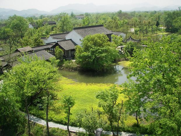 dans le parc naturel de Xixi proche de Hangzhou