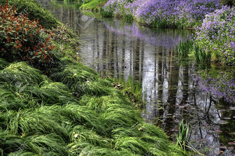 biodiversité dans le parc naturel de Xixi (Hangzhou)