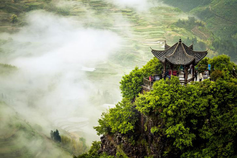 riziculture en terrasses dans le Hunan