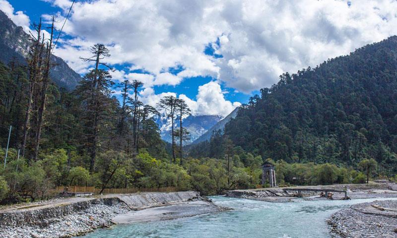 Chine biodiversite vallee Yarlung Zangbo 01