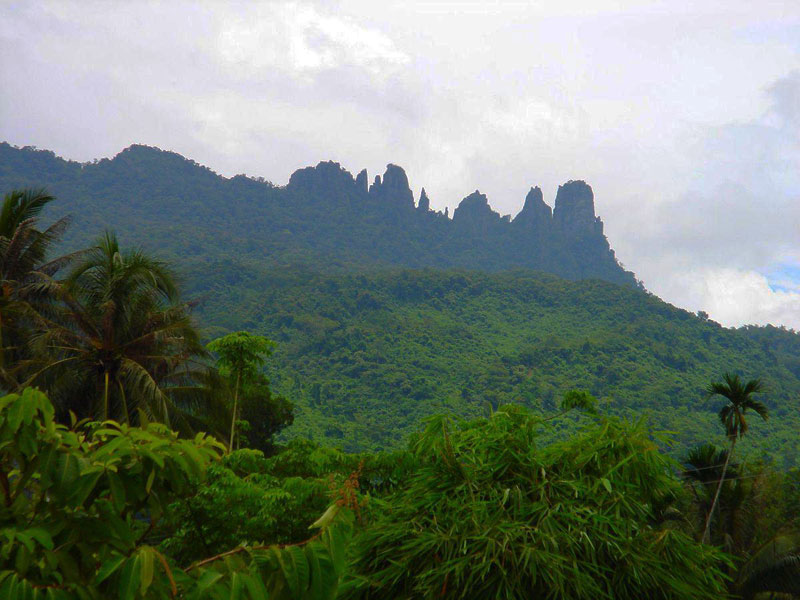 forêt tropicale de Hainan