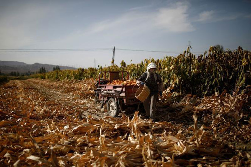 https://www.lemonde.fr/international/article/2020/11/23/la-grande-pauvrete-rurale-en-voie-de-disparition-en-chine_6060743_3210.html