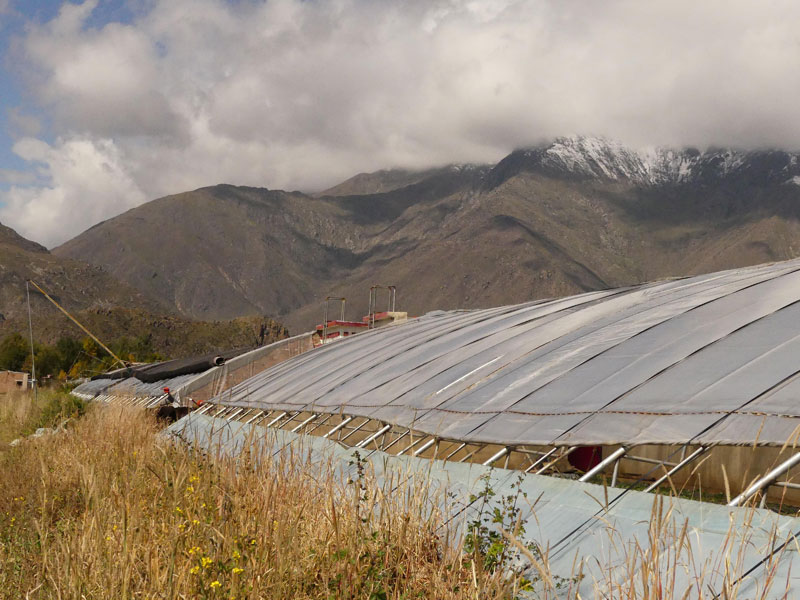 agriculture en serres dans la banlieue de Lhassa (2019)