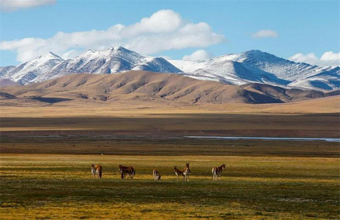 Parc de Sanjiangyuan, Qinghai-Tibet Parc de Sanjiangyuan, Qinghai-Tibet