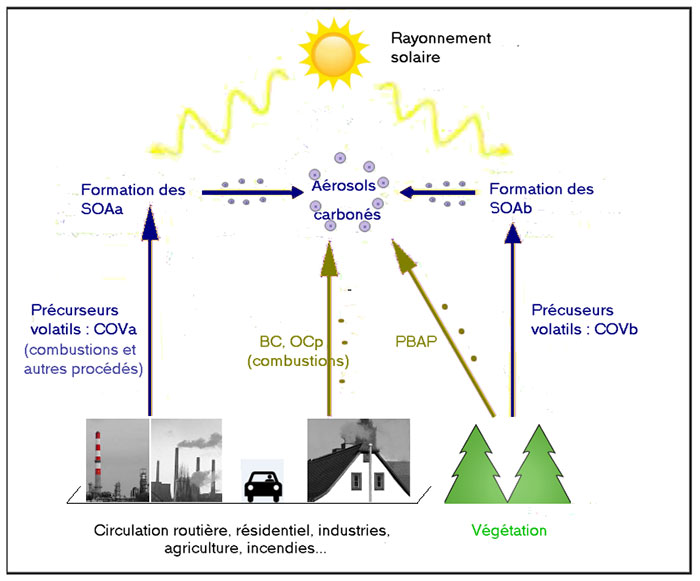 COV: composés organiques volatils  BC: Carbone noir  OC: carbone organique  PBAP: aérosols primaires biogéniques  SOA: aérosols organiques secondaires