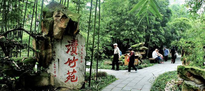Le Parc de la tour Wangjiang est une immense bambouseraie dans le centre ville de Chengdu 