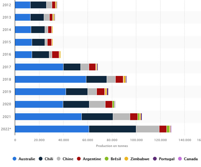 Principaux pays producteurs de lithium dans le monde de 2010 à 2022 (en tonnes) 