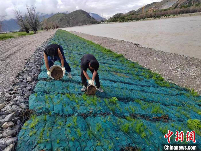 Les ouvriers prennent soin des sacs écologiques. China Hydropower Foundation Bureau of Tibet Branch pour la photo.
