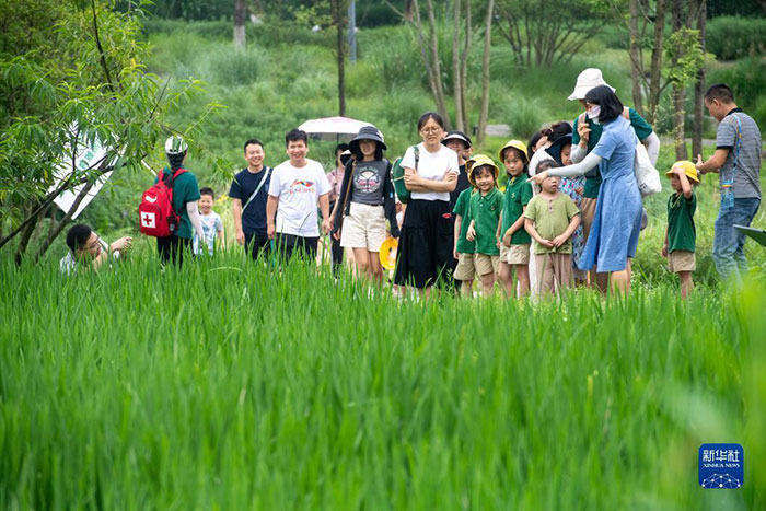 Classes vertes sur l'île de Guyangyang
