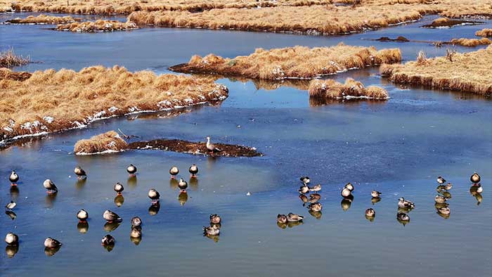 La zone humide de Le'an La zone humide de Le'an
