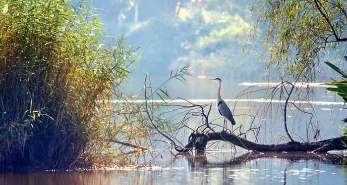 réserve naturelle de Yazui réserve naturelle de Yazui