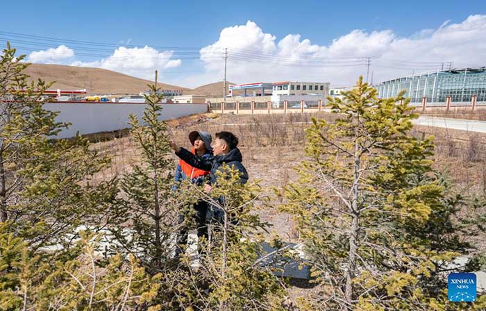Vue de Nagqu (Foto Peoples Daily)