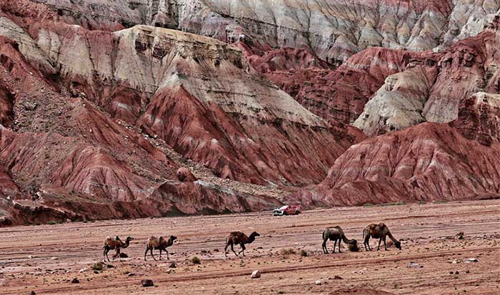Le Grand canyon de Tomour (PHOTO : YU JIE) Le Grand canyon de Tomour (PHOTO : YU JIE)