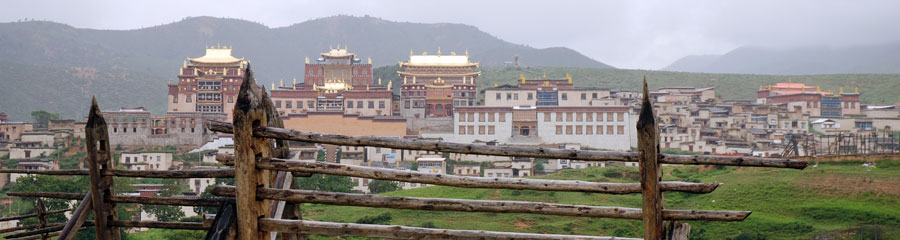 Chine_ecologie_091.jpg